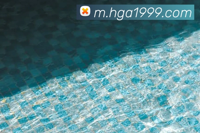 奖项图1